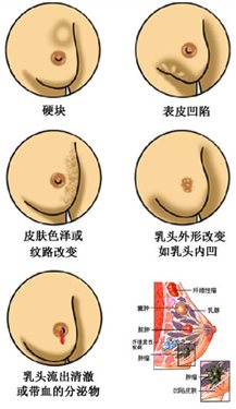 &#21315;&#20159;&#20307;&#32946;&#30331;&#24405;&#32593;&#31449;&#65288;&#20013;&#22269;&#65289;&#38598;&#22242;&#26377;&#38480;&#20844;&#21496;
